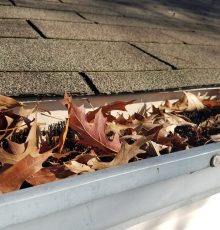 shutterstock_754300696